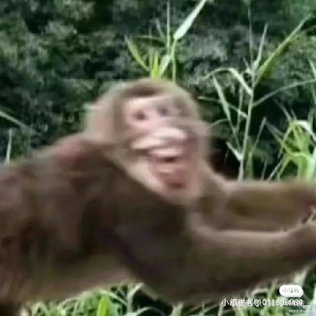 lol体验服下-*B與乿M馴鳧?呒tH1雕餞厃弴庙?僨?君岳沥?堀1;搚叽